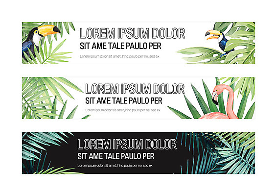 템플릿 배너템플릿 가로배너 사각프레임 사람없음 야자수 현수막 플라밍고 야자수잎 구관조 배너세트 AI파일 나무 배너 잎 조류 프레임 가로 세트 사각형 파일형식 벡터