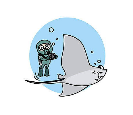 전신 캐릭터 남자 스티커 일러스트 직업캐릭터 한명 성인 카메라 관찰 과학자 가오리 일러캐릭터 AI파일 직업 1 과학 모션 어류 사람 전자제품 학자 파일형식 벡터