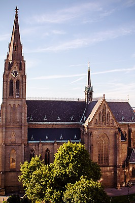 포토 JPG 주간 나무 해외풍경 해외 유럽 유럽풍경 하늘 풍경 사람없음 야외 성당 체코 프라하 동유럽 국내포토 자연요소 식물 나라 종교건축 파일형식