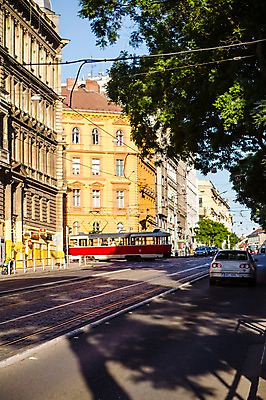 포토 JPG 주간 나무 해외풍경 해외 유럽 도로 유럽풍경 풍경 사람없음 야외 건물 체코 프라하 동유럽 트램 국내포토 자연요소 식물 건축물 나라 길 교통수단 교통시설 파일형식