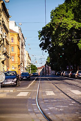 포토 JPG 주간 나무 해외풍경 해외 유럽 도로 유럽풍경 자동차 풍경 사람없음 야외 체코 프라하 동유럽 국내포토 자연요소 식물 나라 길 육상교통 교통시설 파일형식