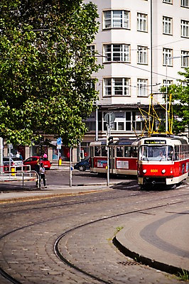 포토 JPG 주간 나무 해외풍경 해외 유럽 도로 유럽풍경 한명 풍경 야외 건물 체코 프라하 동유럽 트램 국내포토 자연요소 식물 1 건축물 나라 길 교통수단 교통시설 사람 파일형식