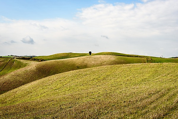포토 JPG 주간 나무 구름 해외풍경 유럽 유럽풍경 하늘 풍경 초원 사람없음 야외 이탈리아 투스카니 국내포토 자연요소 식물 해외 나라 파일형식