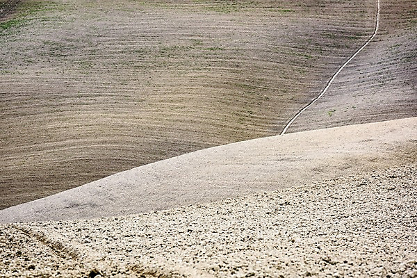 포토 JPG 주간 해외풍경 유럽 밭 유럽풍경 풍경 사람없음 야외 농장 이탈리아 투스카니 국내포토 자연요소 해외 나라 농업 파일형식