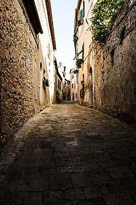 포토 JPG 주간 나무 해외풍경 유럽 길 유럽풍경 풍경 사람없음 야외 건물 이탈리아 골목길 투스카니 국내포토 자연요소 식물 해외 건축물 나라 파일형식