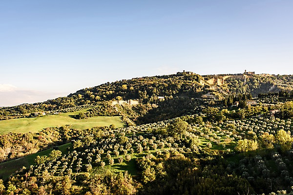 포토 JPG 주간 나무 해외풍경 유럽 유럽풍경 하늘 풍경 초원 사람없음 야외 농장 이탈리아 투스카니 국내포토 자연요소 식물 해외 나라 농업 파일형식