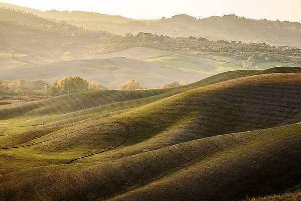 포토 JPG 주간 해외풍경 유럽 유럽풍경 풍경 초원 사람없음 야외 일몰 이탈리아 투스카니 국내포토 자연요소 해외 나라 노을 파일형식