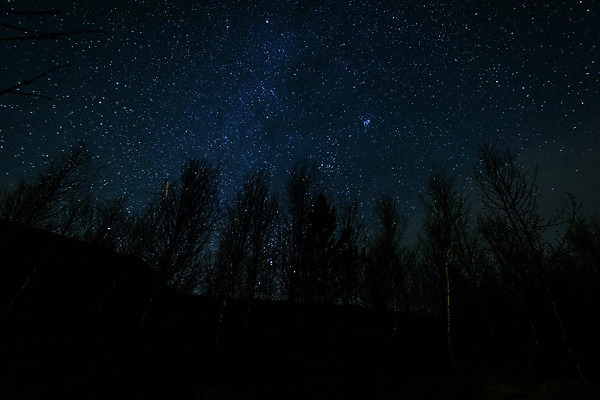 포토 JPG 나무 해외풍경 유럽 별 야경 유럽풍경 밤하늘 아이슬란드 사람없음 야외 야간 국내포토 자연요소 식물 해외 나라 하늘 풍경 파일형식 풍경_경치