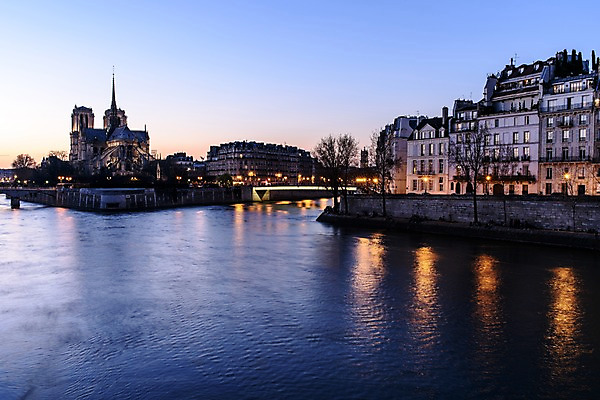 포토 JPG 나무 해외풍경 유럽 야경 유럽풍경 사람없음 야외 건물 강 프랑스 파리_프랑스 노트르담 국내포토 식물 해외 건축물 나라 풍경 야간 파일형식 풍경_경치