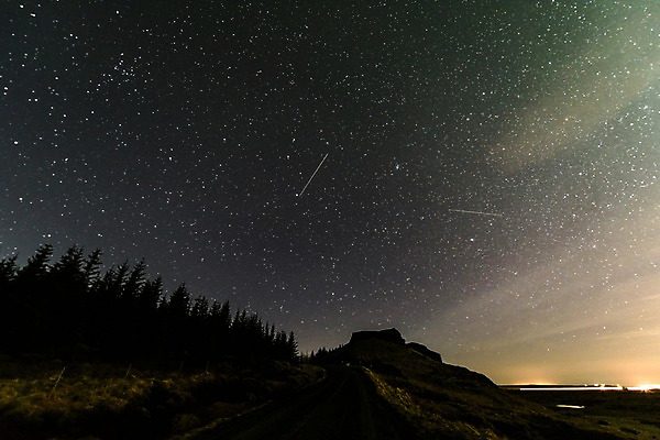 포토 JPG 나무 해외풍경 유럽 별 야경 유럽풍경 밤하늘 아이슬란드 사람없음 야외 야간 국내포토 자연요소 식물 해외 나라 하늘 풍경 파일형식 풍경_경치