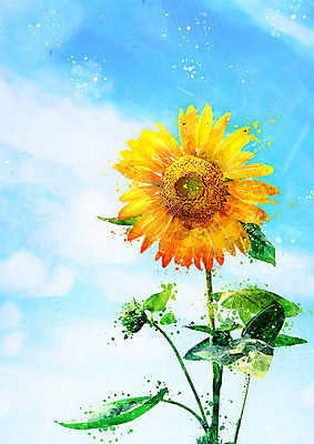 PSD 꽃 한송이 일러스트 하늘 해바라기 수채화 사람없음 감성 보테니컬아트 국내일러스트 식물 1 컨셉 송이 파일형식