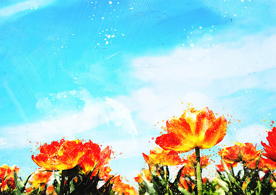 PSD 꽃 꽃밭 일러스트 하늘 수채화 사람없음 감성 보테니컬아트 국내일러스트 식물 컨셉 파일형식