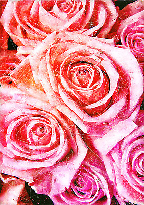 PSD 꽃 일러스트 수채화 사람없음 장미 감성 보테니컬아트 국내일러스트 식물 컨셉 파일형식