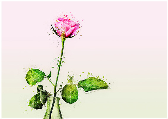 PSD 꽃 한송이 일러스트 수채화 사람없음 장미 꽃병 감성 보테니컬아트 국내일러스트 식물 1 컨셉 송이 파일형식