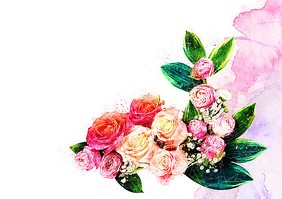 PSD 꽃 일러스트 수채화 사람없음 장미 번짐 감성 보테니컬아트 국내일러스트 식물 컨셉 파일형식 효과