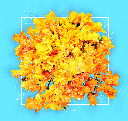 PSD 꽃 꽃다발 일러스트 수채화 사람없음 노란색 감성 프리지어 보테니컬아트 국내일러스트 식물 컬러 컨셉 파일형식