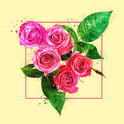 PSD 꽃 일러스트 나뭇잎 수채화 사람없음 장미 감성 보테니컬아트 국내일러스트 식물 컨셉 잎 파일형식