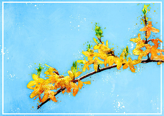 PSD 꽃 일러스트 하늘 수채화 사람없음 나뭇가지 개나리 감성 보테니컬아트 국내일러스트 나무 식물 컨셉 파일형식