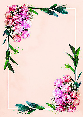 PSD 꽃 일러스트 나뭇잎 수채화 프레임 사람없음 장미 감성 프레임일러스트 보테니컬아트 국내일러스트 식물 컨셉 잎 파일형식