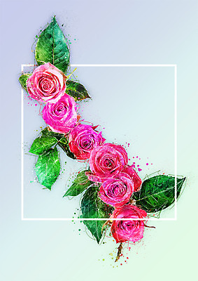 PSD 꽃 일러스트 나뭇잎 수채화 사람없음 장미 감성 보테니컬아트 국내일러스트 식물 컨셉 잎 파일형식