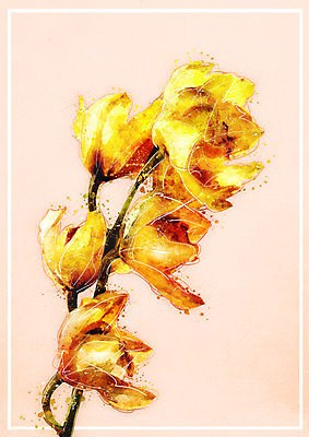 PSD 꽃 일러스트 수채화 사람없음 노란색 나뭇가지 감성 보테니컬아트 국내일러스트 나무 식물 컬러 컨셉 파일형식