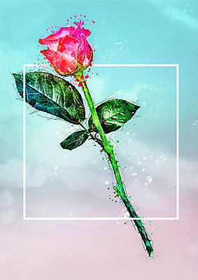 PSD 꽃 한송이 일러스트 수채화 사람없음 장미 번짐 감성 파스텔 보테니컬아트 국내일러스트 식물 1 컨셉 학용품 송이 파일형식 효과