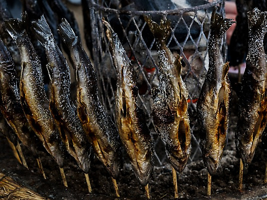 포토 JPG 주간 음식 사람없음 야외 구이 생선구이 화로 꼬치구이 화로구이 일본음식 국내포토 자연요소 그릇 꼬치 생선요리 파일형식