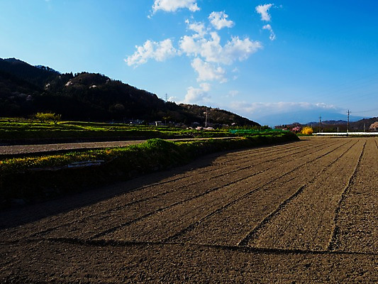 포토 JPG 주간 구름 자연 하늘 산 풍경 사람없음 야외 농경지 국내포토 자연요소 농장 생태계 파일형식