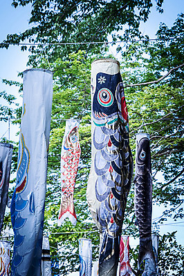 포토 JPG 주간 나무 일본문화 사람없음 야외 일본 축제 깃발 일본전통 잉어 고이노보리 국내포토 자연요소 식물 동양문화 전통 아시아 외국문화 어류 파일형식