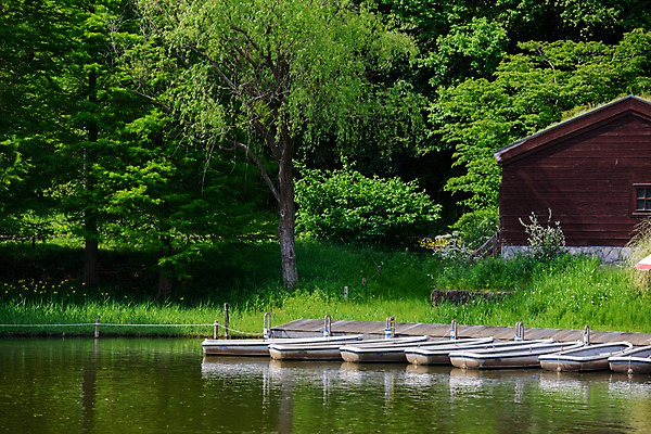 포토 JPG 주간 나무 자연 풍경 사람없음 야외 강 숲 오두막 나루터 선박 국내포토 자연요소 식물 수상교통 항구 생태계 파일형식