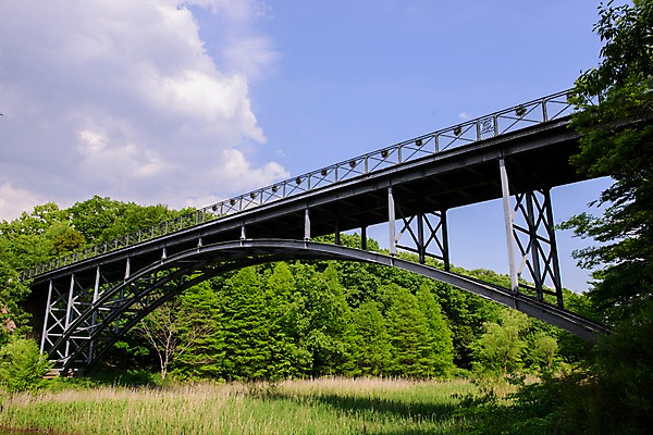 포토 JPG 주간 나무 구름 하늘 풍경 사람없음 야외 숲 아치 가교 국내포토 자연요소 식물 건축물 파일형식