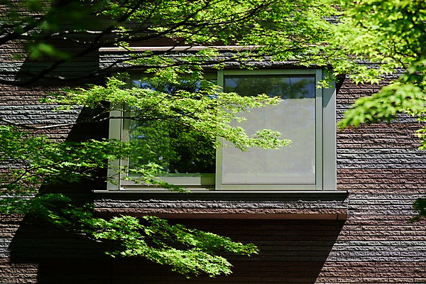 포토 JPG 주간 나무 창문 주택 사람없음 야외 국내포토 자연요소 식물 건물 파일형식