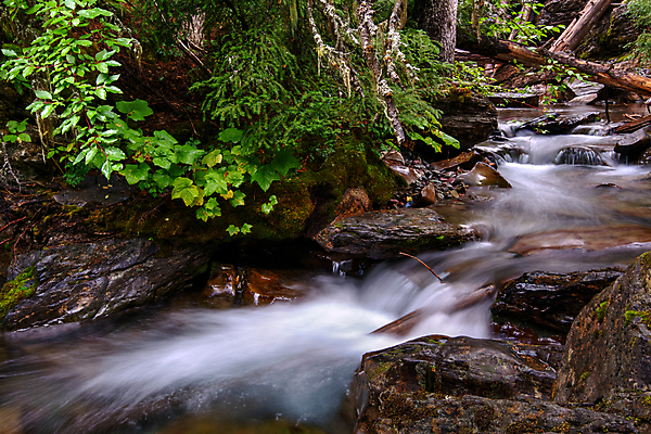 포토 JPG 해외이미지 나무 공원 잎 자연 이끼 풍경 사람없음 야외 가로 초록색 물 햇빛 갈색 노란색 미국 침묵 흐름 가을 조약돌 흰색 개울 급류 고독 떨어짐 속도 네덜란드 암초 구성 민물 해외202004 해외포토 자연요소 식물 계절 공공시설 감정 유럽 컬러 컨셉 북아메리카 강 태양 소리 돌_바위 생태계 파일형식 이미지허브