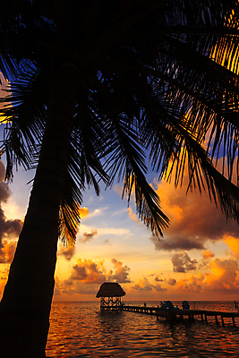 포토 JPG 해외이미지 나무 구름 실루엣 모래 바다 섬 여행 잎 오렌지 자연 하늘 휴가 휴식 따뜻함 손바닥 사람없음 야외 물 여름 파란색 햇빛 태양 일출 맑음 검은색 일몰 저녁 오두막 휴양지 벨리즈 암초 코코넛 내추럴 이국적 파라다이스 해외202004 해외포토 자연요소 식물 손 계절 컬러 컨셉 과일 날씨 촬영기법 노을 장소 중앙아메리카 야간 생태계 파일형식 이미지허브