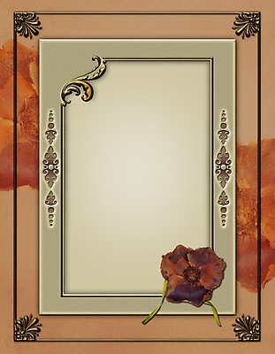 포토 JPG 해외이미지 디자인 꽃 패턴 곡선 프레임 액자틀 사람없음 갈색 회색 추위 소용돌이 고급 우아함 만족 질감 레이아웃 한조각 스크랩북 스타일 해외202004 해외포토 식물 1 감정 선 컬러 액자 컨셉 무늬 틀 회오리 파일형식 이미지허브