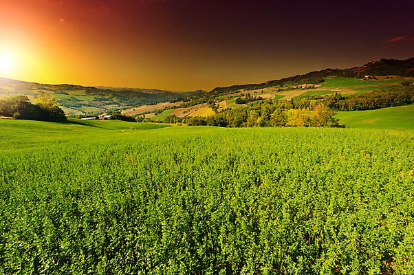 포토 JPG 해외이미지 나무 구름 유럽 지구 밭 농업 건축양식 자연 하늘 아침 산 주택 그림자 풍경 사람없음 야외 햇빛 태양 농장 농경지 마을 일출 일몰 흙 봄 목장 이탈리아 시골 저녁 숲 땅 만취 언덕 알프스 먼지 진흙 밭일 세련 해외202004 해외포토 주간 자연요소 식물 계절 건축 나라 산업 건물 노을 야간 생태계 술취함 파일형식 이미지허브