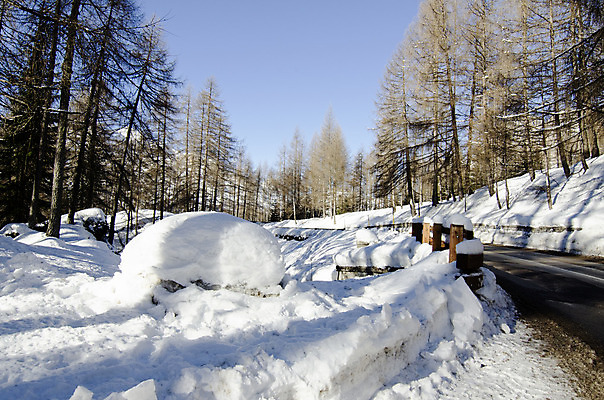 포토 JPG 해외이미지 나무 계절 선 스포츠 여행 크리스마스 겨울 자연 하늘 날씨 휴가 스키 산 주택 그림자 사람 풍경 경사 사람없음 야외 건물 목재 파란색 빛 산타클로스 교회 얼음 이탈리아 추위 바위 흰색 신선 스노우보드 숲 12월 언덕 알프스 장면 절정 해외202004 해외포토 자연요소 식물 건축물 기념일 유럽 컬러 재료 종교건축 겨울스포츠 돌_바위 보드_스포츠 날짜 생태계 파일형식 이미지허브