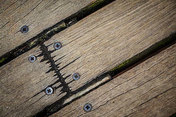 포토 JPG 해외이미지 디자인 선 가구 백그라운드 패턴 표면 날씨 추상 바닥 사람없음 목재 가로 공백 나사 시골 소나무 판넬 얼룩 거친 닫기 널 낟알 목수 묘사 질감 통나무 볼트 목공예 나무껍질 결 그런지 수목 줄서기 파케트 디테일 해외202004 해외포토 나무 직업 생활용품 무늬 재료 모션 껍질 공구 공예 파일형식 이미지허브