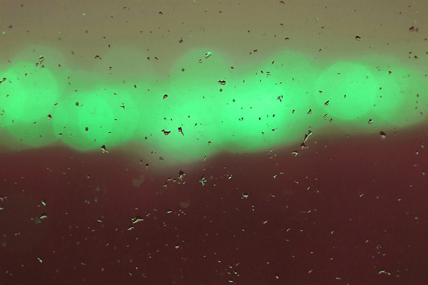 포토 JPG 해외이미지 디자인 일러스트 자연 사람없음 빨간색 빛 반짝임 컬러풀 노란색 파티 검은색 흰색 축하 도시 클래식 고급 소프트포커스 보케 장면 블러 효과 해외202004 해외포토 컬러 컨셉 모션 촬영기법 이벤트 생태계 파일형식 이미지허브