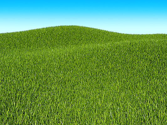 포토 JPG 해외이미지 식물 계절 공원 백그라운드 밭 자연 하늘 날씨 풍경 잔디 사람없음 야외 초록색 여름 파란색 빛 햇빛 환경 맑음 침묵 봄 활발 자유 시골 신선 땅 언덕 장면 내추럴 수평선 해외202004 해외포토 공공시설 컬러 컨셉 농업 태양 소리 생태계 파일형식 이미지허브