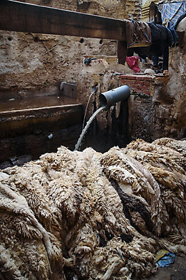 포토 JPG 해외이미지 전통 문화 여행 건축양식 공장 아프리카 동양인 사람없음 빨간색 컬러풀 페인트 죽음 도시 업무 중세 역사 제조 가죽 이슬람교 공예 피부 냄새 탱크 타운 모로코 메디나 솜씨 아랍어 안뜰 옛날 해외202004 해외포토 건축 나라 종교 컬러 공업 인종 취미 신체부위 작업 파일형식 이미지허브