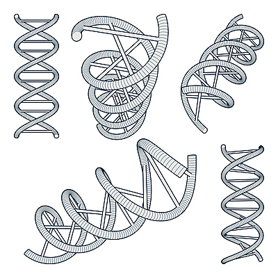 포토 JPG 해외이미지 과학 일러스트 흑백 나선형 사람없음 건강관리 그룹 파편 DNA 생명공학 작음 심볼 흰배경 그림 생물학 미생물 염색체 해외202004 해외포토 교육 백그라운드 무늬 의학 생물 촬영기법 건강 관리 흰색 크기 파일형식 이미지허브