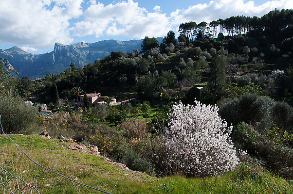 포토 JPG 해외이미지 나무 전통 외관 유럽 섬 여행 밭 자연 하늘 주택 풍경 사람없음 야외 초록색 파란색 농장 정원 계곡 시골 재산 숲 지중해 언덕 장면 내추럴 진짜 해외202004 해외포토 식물 나라 바다 컬러 농업 건물 금융 생태계 파일형식 이미지허브