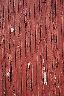 포토 JPG 해외이미지 캐릭터 선 벽 백그라운드 패턴 벽지 표면 날씨 외벽 사람없음 야외 건물 목재 힘 페인트 손상 흰색 소나무 판넬 얼룩 거친 황폐 널 낟알 고민 질감 무침 시들음 잡동사니 헛간 그런지 수목 옛날 노화 못생김 해외202004 해외포토 나무 건축물 감정 음식 컬러 컨셉 무늬 재료 저장고 파일형식 이미지허브