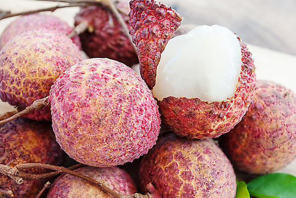 포토 JPG 해외이미지 계절 열매 음식 분홍색 백그라운드 잎 다이어트 과일 재료 건강 동양인 사람없음 빨간색 여름 컬러풀 보라색 중국 주스 껍질 가을 흰색 신선 가시 그룹 달콤 맛 다발 유기농 날것 팩 패키지 자두 과육 숙성 완벽 이국적 채식주의자 비건 해외202004 해외포토 식물 웰빙 아시아 음료 컬러 컨셉 인종 화장품 채식 파일형식 이미지허브