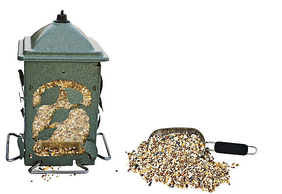 포토 JPG 해외이미지 음식 백그라운드 텍스트 자연 조류 해바라기 매달리기 옥수수 씨앗 사람없음 야외 초록색 우주 금속 정원 흰색 낟알 철 흰배경 고립 섞기 수수 철강 카피스페이스 해외202004 해외포토 식물 동물 꽃 컬러 모션 재질 곡류 공백 생태계 파일형식 이미지허브