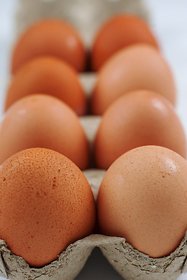 포토 JPG 해외이미지 동물 음식 재료 사람없음 농장 갈색 계란 치킨 가축 껍질 유기농 해외202004 해외포토 웰빙 컬러 농업 알 닭고기요리 파일형식 이미지허브