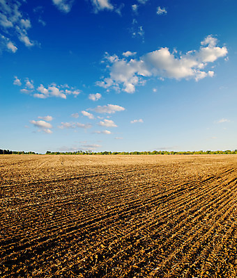 포토 JPG 해외이미지 구름 계절 산업 지구 백그라운드 밭 농업 비즈니스 자연 하늘 풍경 사람없음 야외 파란색 햇빛 갈색 환경 경작 검은색 흙 봄 줄무늬 흰색 시골 땅 만취 언덕 유기농 질감 조경 트랙 먼지 장면 진흙 내추럴 땅바닥 쟁기 줄서기 수평선 세련 해외202004 해외포토 자연요소 웰빙 컬러 무늬 모션 바닥 태양 농사 생태계 술취함 파일형식 이미지허브