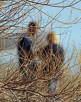 포토 JPG 해외이미지 나무 식물 라이프스타일 커플 공원 여자 남자 행복 실루엣 잎 2 데이트 관계 자연 하늘 추상 휴가 함께함 사랑 서기 사람 풍경 성인 사람없음 야외 햇빛 노란색 정원 봄 우정 산책 가을 나뭇가지 아내 옛날 해외202004 해외포토 계절 공공시설 감정 컬러 컨셉 무늬 모션 휴식 촬영기법 생활 친구 태양 생태계 파일형식 이미지허브