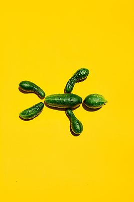 포토 JPG 해외이미지 식물 라이프스타일 음식 백그라운드 컨셉 농업 다이어트 채소 과일 자연 오이 건강 요리 사람 사람없음 초록색 식사 수확 신선 농부 먹기 심볼 오브젝트 유기농 원예 커뮤니티 내추럴 고립 노란배경 밭일 채식주의자 평등 해외202004 해외포토 직업 웰빙 산업 컬러 모션 취미 생활 노란색 생태계 채식 파일형식 이미지허브